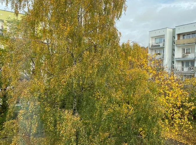 Arkonska Apartamento